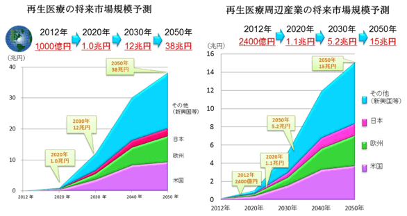 再生医療市場規模予測